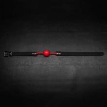 Silicone Ball Gag | BDSM Rental Orlando