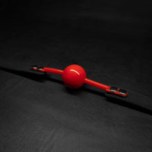 Silicone Ball Gag | BDSM Rental Orlando